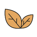 eco